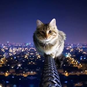 Meet your Posher, Susie